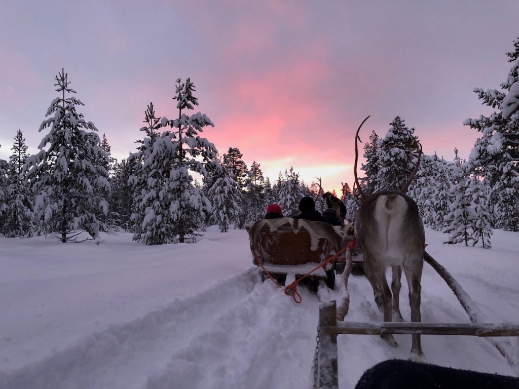 [2018芬蘭追極光之旅] 在Inari追北極光的四個夜晚（三）︱夜半在極地森林探險、哈士奇和馴鹿雪橇體驗
